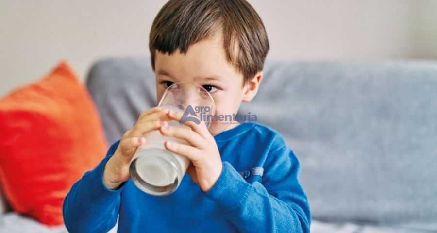 BONLACTA® Eficiencia en formulaciones "Zero Lactose": Cómo optimizar tiempos y perfiles sensoriales en la planta láctea