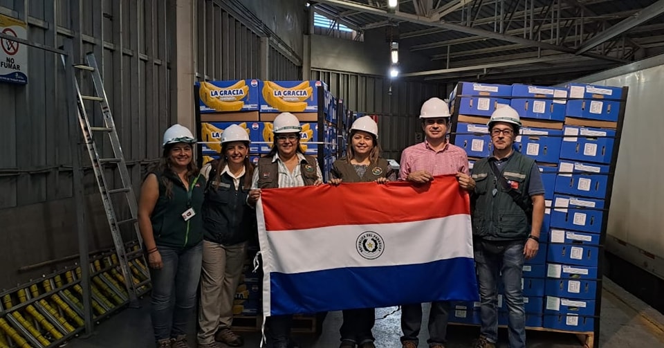 "Éxito en los Controles Fitosanitarios: La Carga de Banana Paraguaya Ingresa Sin Contratiempos a Chile"